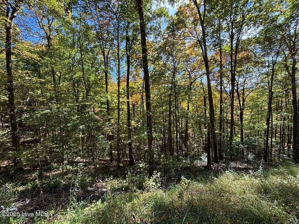 Photo of 2 Holly Ridge Drive, Topton, NC 28781 (MLS # 100604456)
