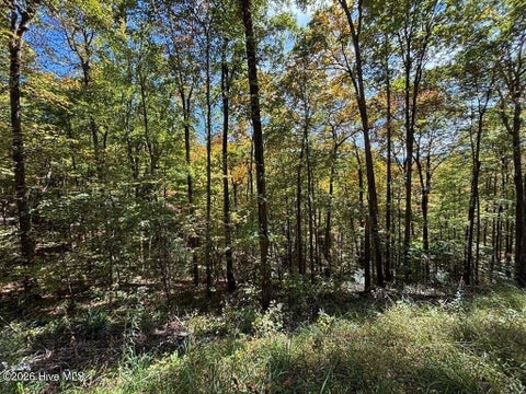 Vacant Land For Sale - 2 Holly Ridge Drive<br/> Topton, NC 28781