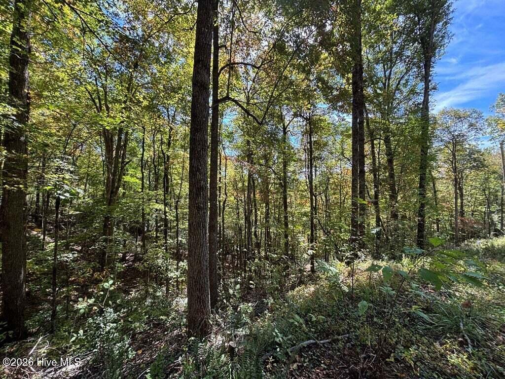 Photo of 2 Holly Ridge Drive, Topton, NC 28781 (MLS # 100604456)