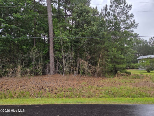 22 DOGWOOD TRL, HERTFORD, NC 27944 - Image c3cac3b63cd21d39b944ecde189cf99a/302599980