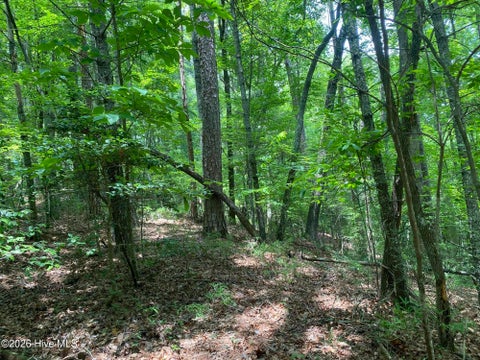 Vacant Land For Sale - P/O 2340 Candy Mountain Road<br/> Cherokee County, Murphy, NC 28906
