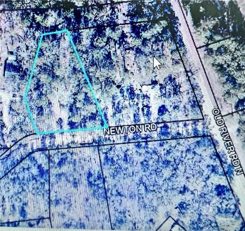 Vacant Land For Sale - Newton Rd<br/> Statesboro, GA 30461