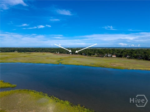 Vacant Land For Sale - 14 West Ferry Court<br/> Savannah, GA 31411