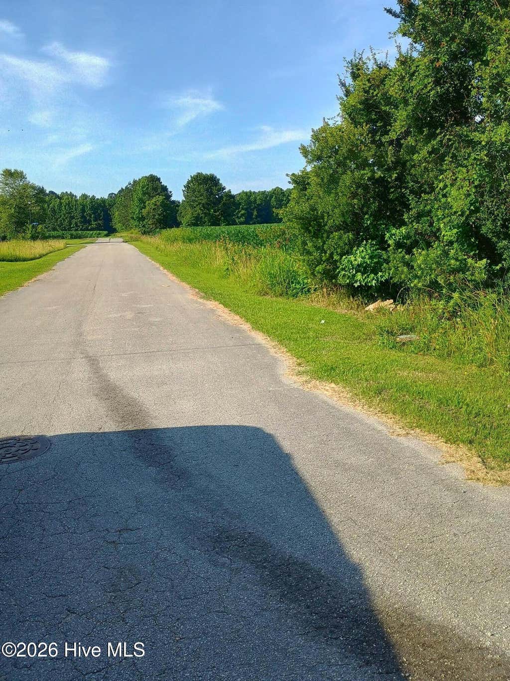 Photo of 289 Grists Road, Chadbourn, NC 28431 (MLS # 100580738)