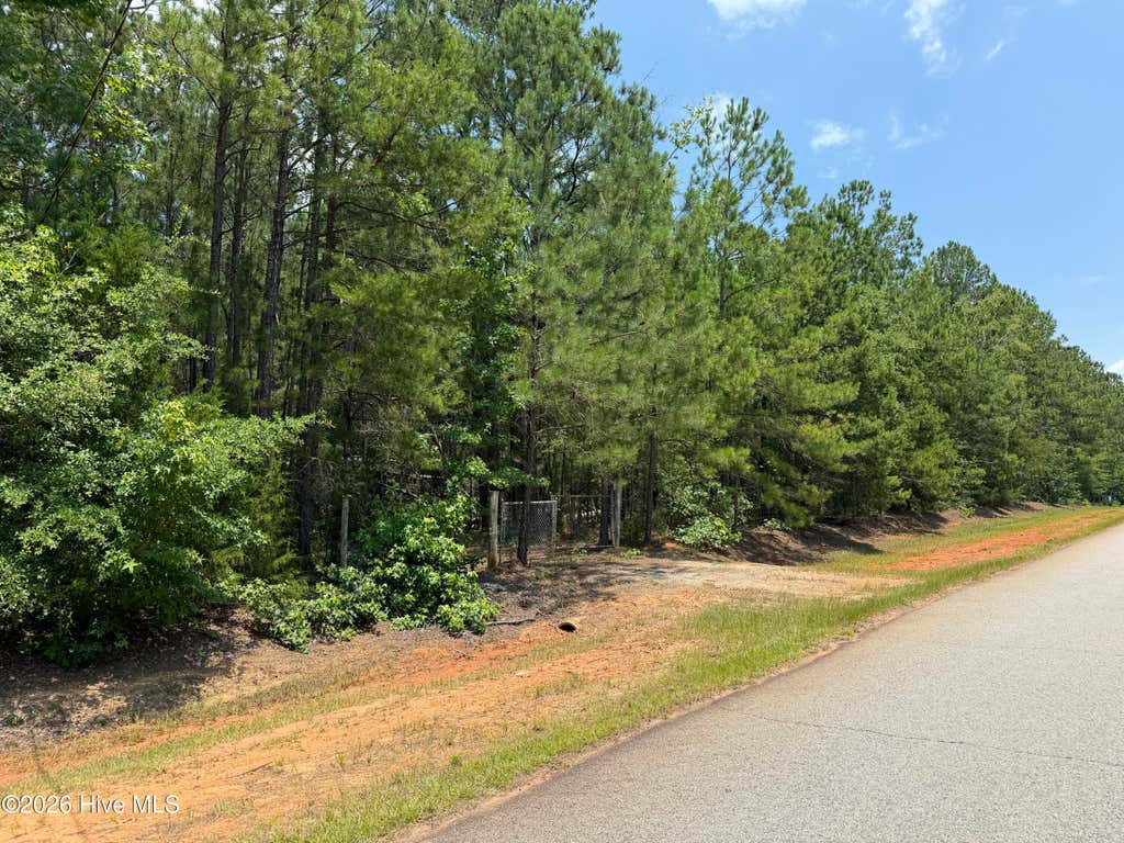 Photo of 105 Venison Way, Appling, GA 30802 (MLS # 100586344)