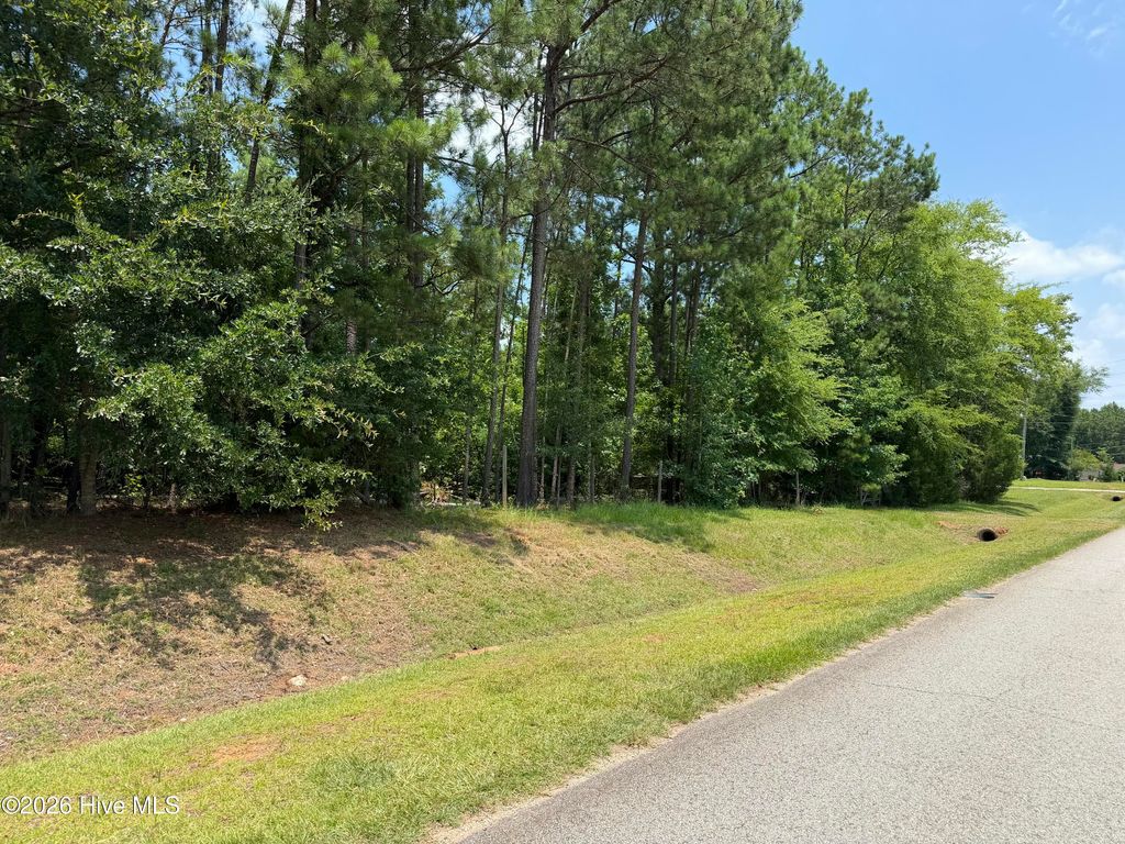 Photo of 105 Venison Way, Appling, GA 30802 (MLS # 100586344)