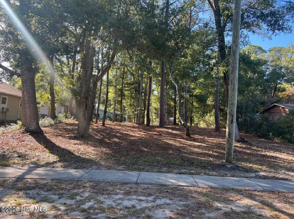 Photo of 29 N Caswell Avenue, Southport, NC 28461 (MLS # 100546698)