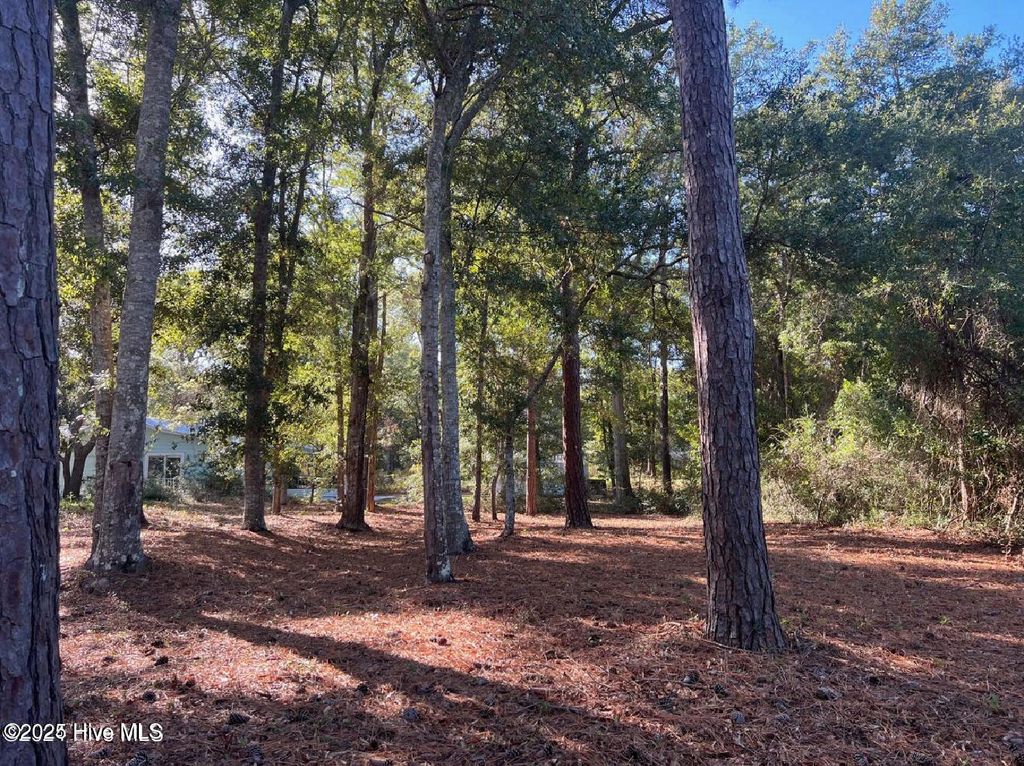 Photo of 29 N Caswell Avenue, Southport, NC 28461 (MLS # 100546698)
