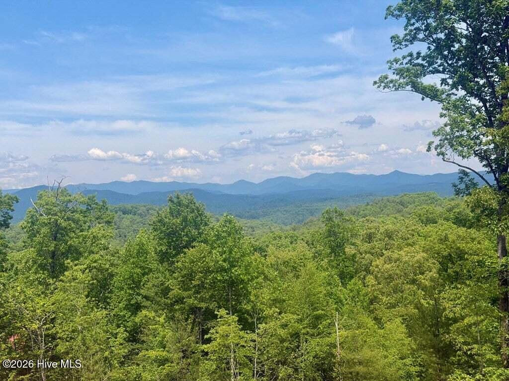 Photo of 50 Hideout Lane, Murphy, NC 28906 (MLS # 100610989)