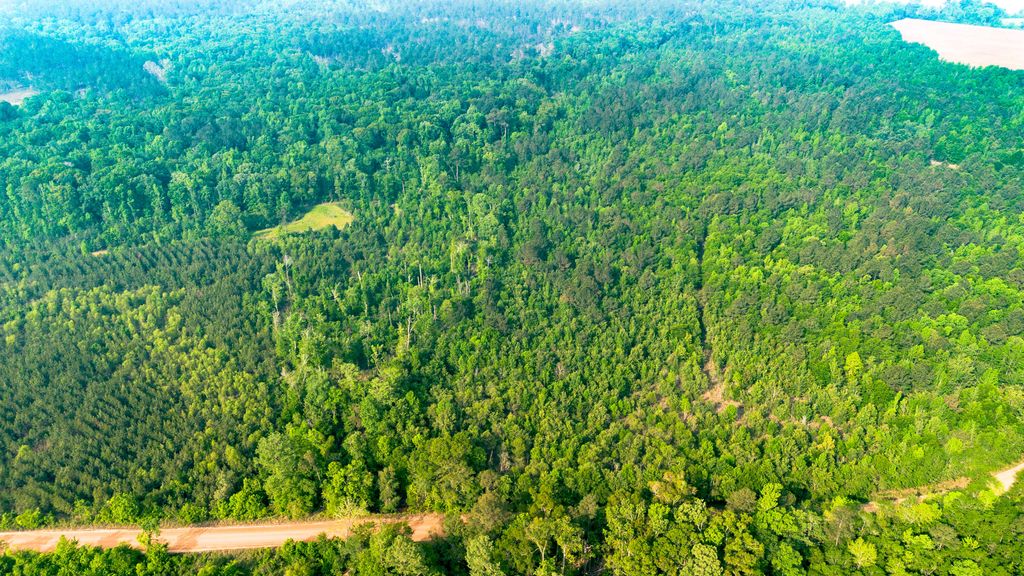 Photo of 0 Fields Farm Road, Millen, GA 30442 (MLS # 555073)