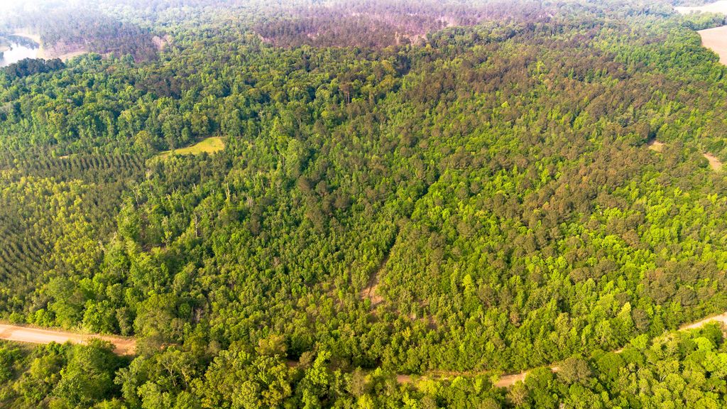 Photo of 0 Fields Farm Road, Millen, GA 30442 (MLS # 555073)