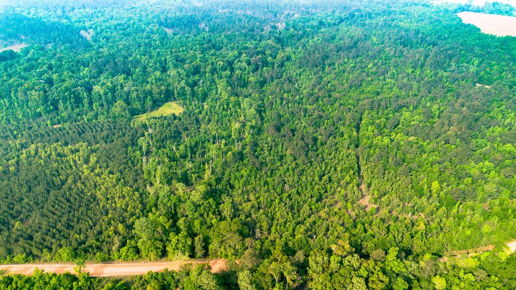 Photo of 0 Fields Farm Road, Millen, GA 30442 (MLS # 555073)