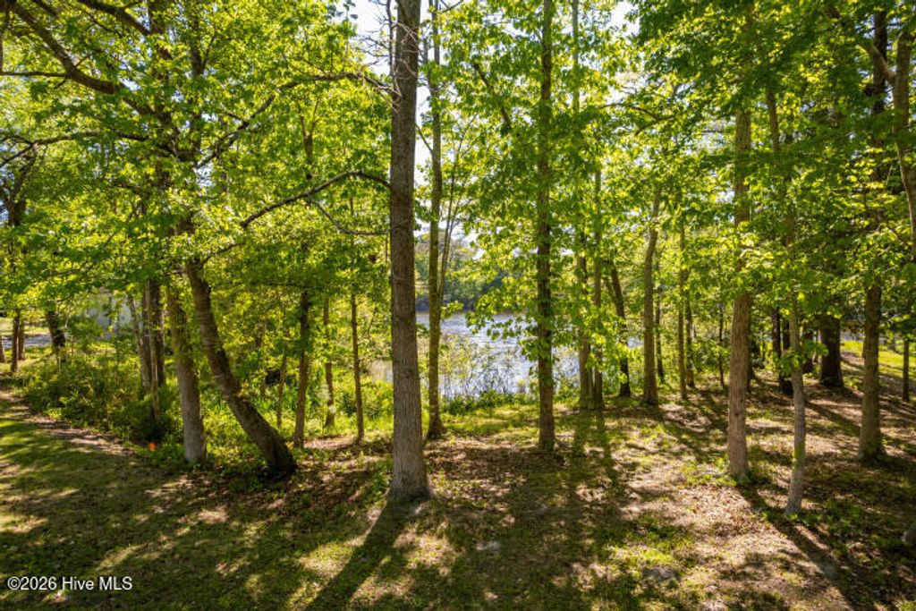 Photo of 519 Country Club Drive W, Arapahoe, NC 28510 (MLS # 100568903)