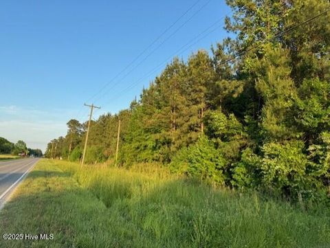 Tiny photo for 53 Hy W, Burgaw, NC 28425 (MLS # 100569927)