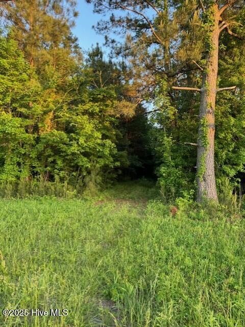 Tiny photo for 53 Hy W, Burgaw, NC 28425 (MLS # 100569927)