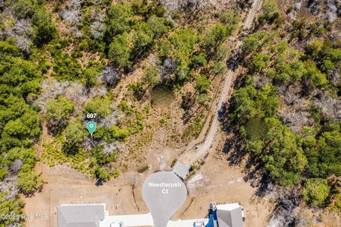 Vacant Land For Sale - 607 Needlerush Court<br/> Onslow County, Sneads Ferry, NC 28460