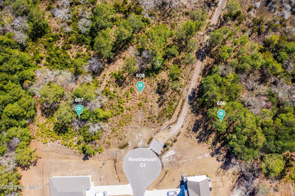 Photo of 607 Needlerush Court, Sneads Ferry, NC 28460 (MLS # 100523779)