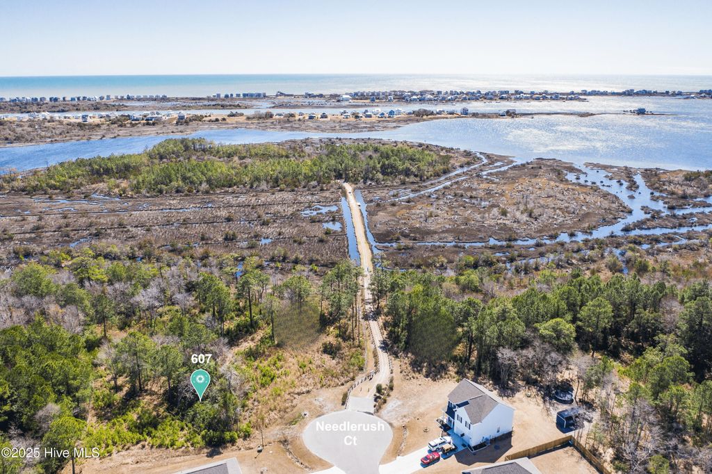 Photo of 607 Needlerush Court, Sneads Ferry, NC 28460 (MLS # 100523779)