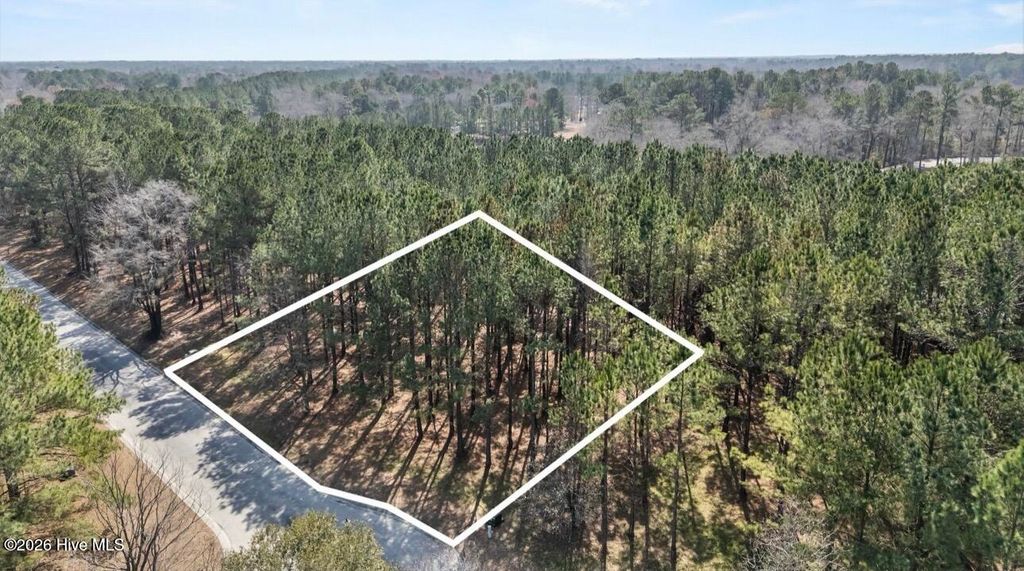 Photo of 121 W Grandiflora Drive, Wallace, NC 28466 (MLS # 100559489)