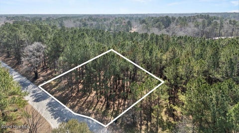 Vacant Land For Sale - 121 W Grandiflora Drive<br/> Wallace, NC 28466