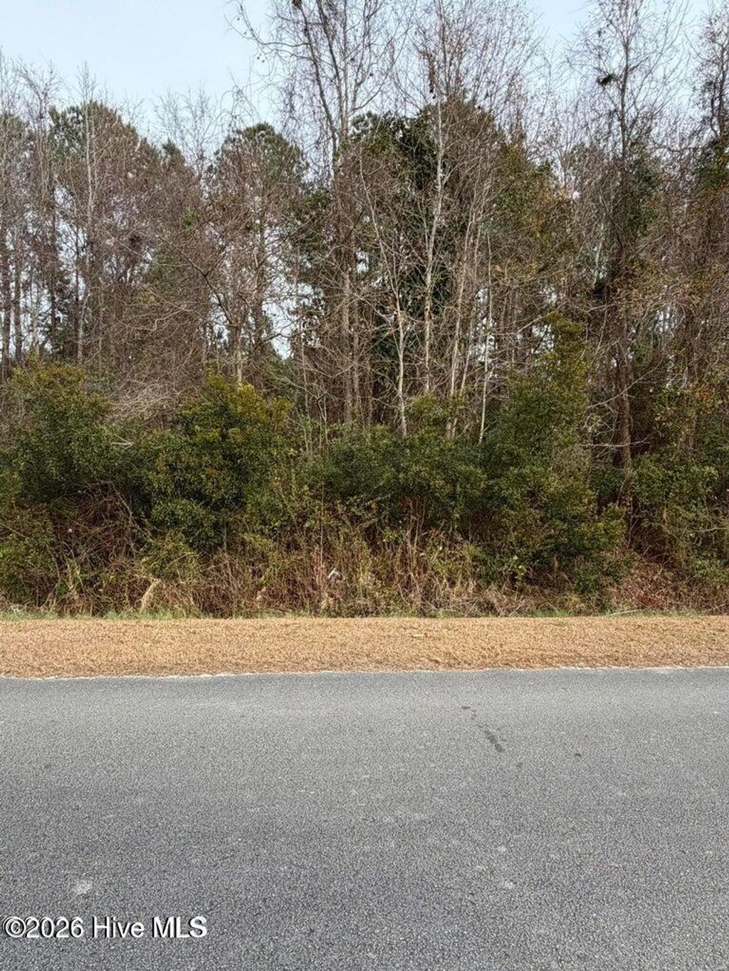 Photo of 0 Joans Haven Drive, Newport, NC 28570 (MLS # 100550369)