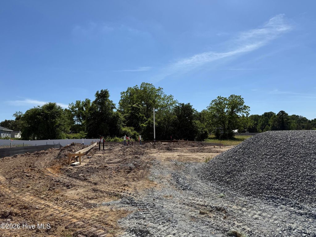 Photo of 267 Crossvine Street, Selma, NC 27576 (MLS # 100570669)