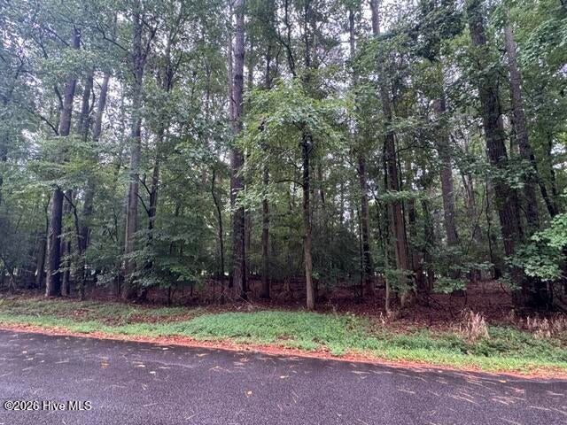 Photo of 17 Comanche Trail, Hertford, NC 27944 (MLS # 100603232)