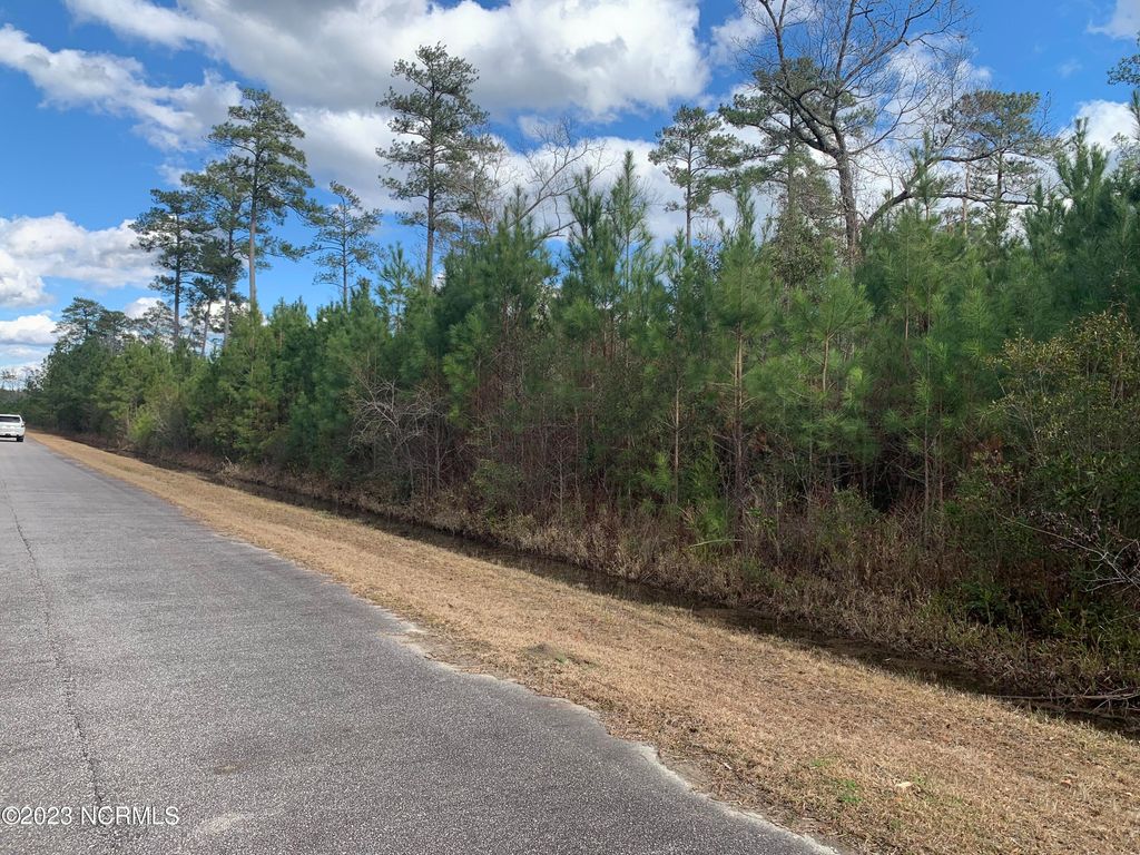 Photo of 242 Castaway Road, Merritt, NC 28556 (MLS # 100366185)