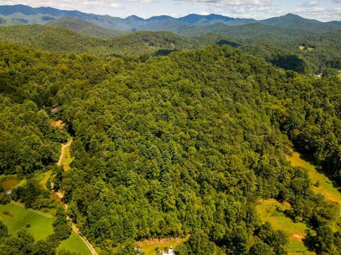 Vacant Land For Sale - TBD Pet Lane<br/> Murphy, NC 28906