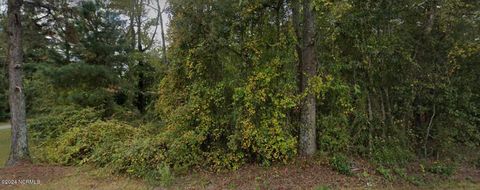 Vacant Land For Sale - 1179 Buck Swamp Road<br/> Pikeville, NC 27863
