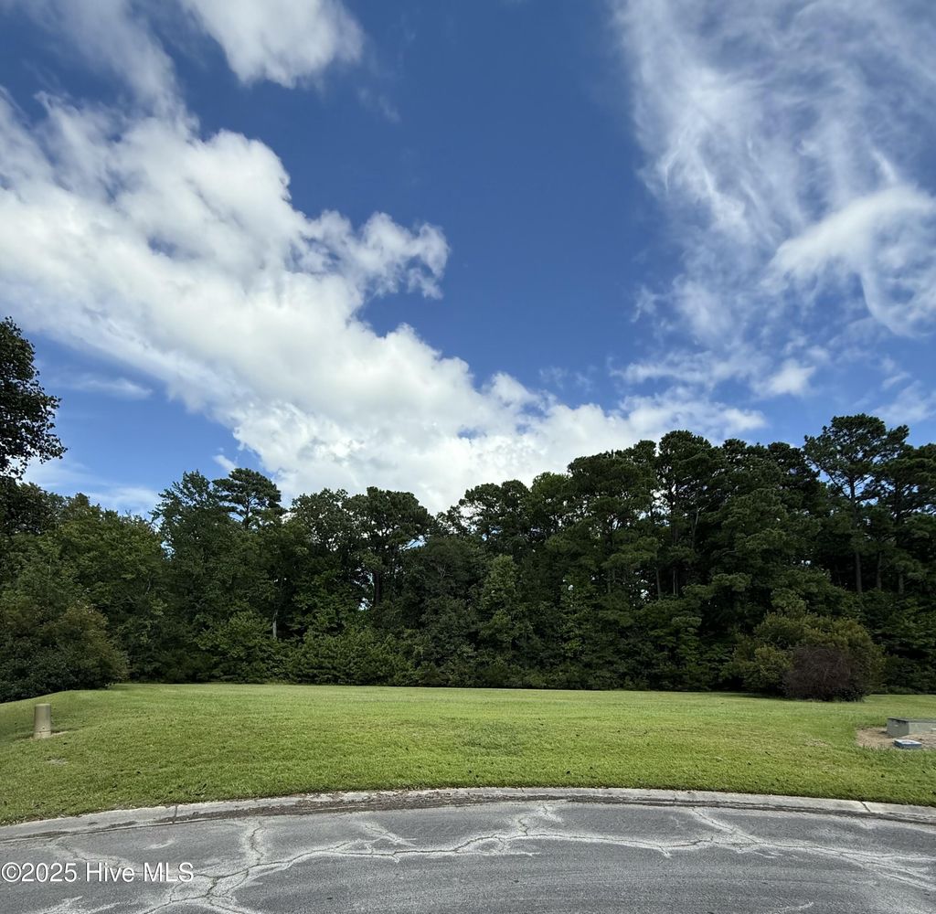 Photo of 61 Edna Court, Arapahoe, NC 28510 (MLS # 100529467)