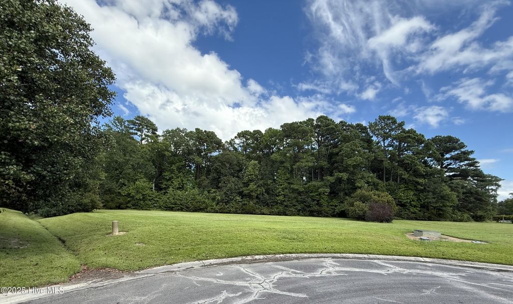 Photo of 61 Edna Court, Arapahoe, NC 28510 (MLS # 100529467)