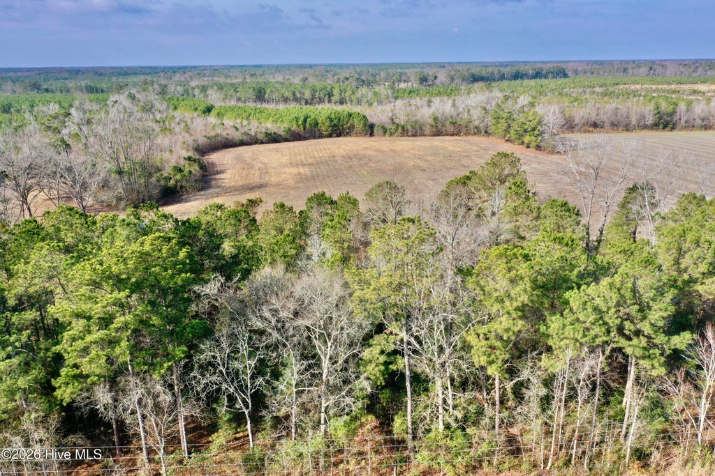 Photo of 0 Near 4635 Hallsboro Road N, Clarkton, NC 28433 (MLS # 100598043)