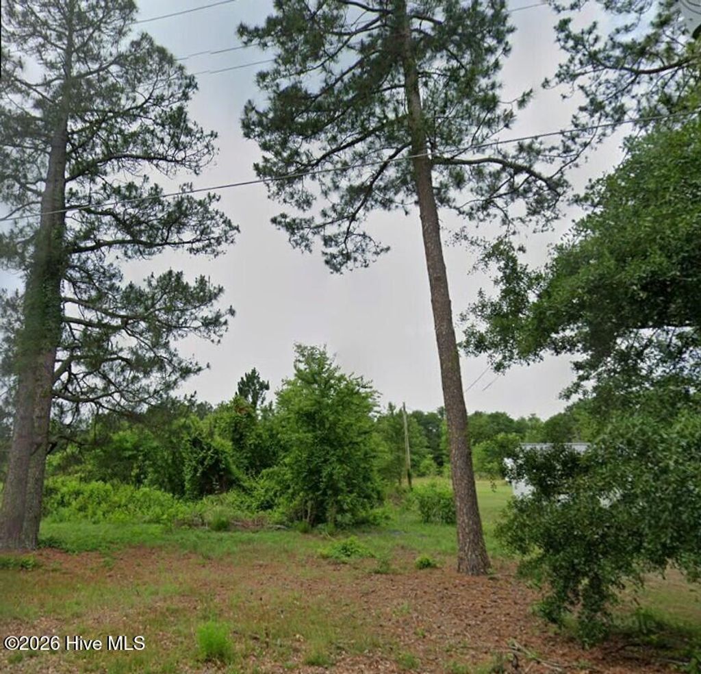 Photo of 21640 Airbase Road, Wagram, NC 28396 (MLS # 100562447)