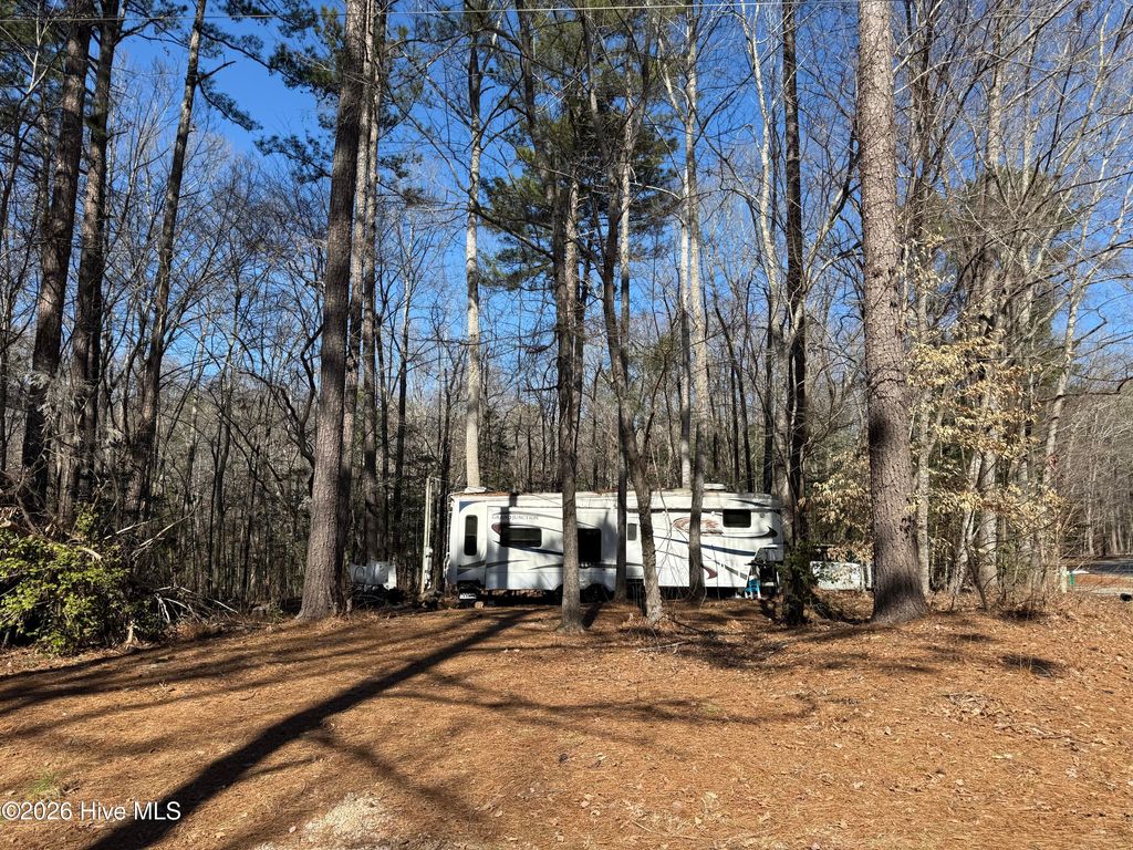 Photo of 126 Poma Drive, Louisburg, NC 27549 (MLS # 100553476)
