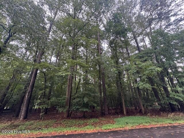 Photo of 18 Comanche Trail, Hertford, NC 27944 (MLS # 100603233)