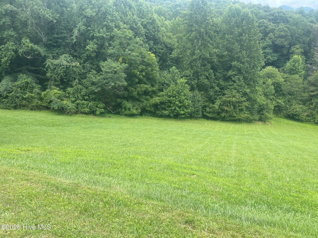 Photo of 22 Ash Branch Circle, Hayesville, NC 28904 (MLS # 100590011)