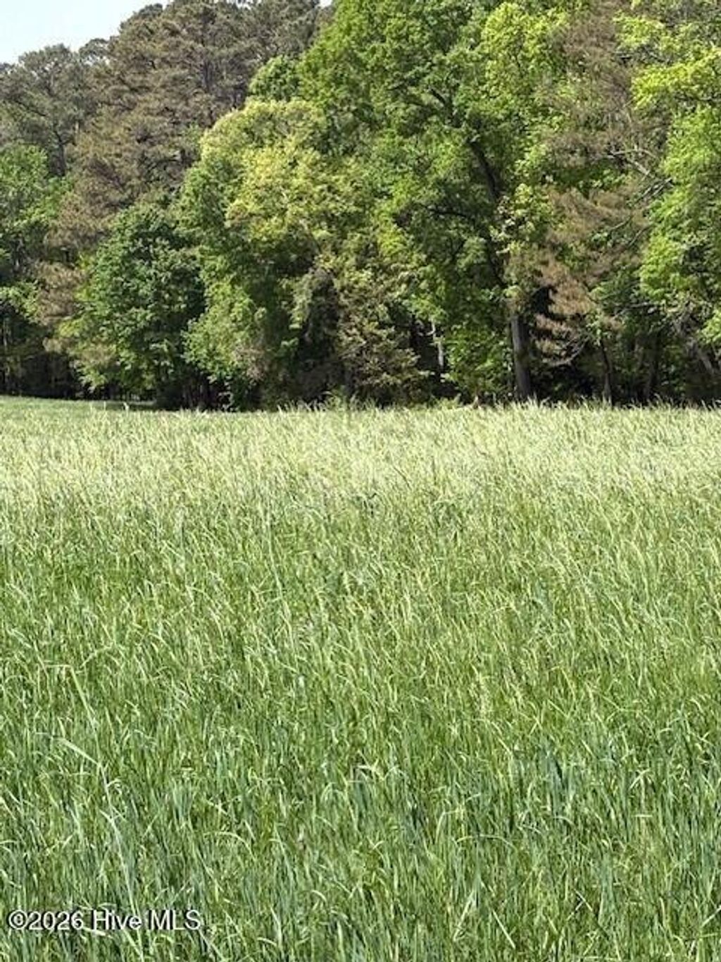 Photo of 000 Leon Road, Nashville, NC 27856 (MLS # 100566300)