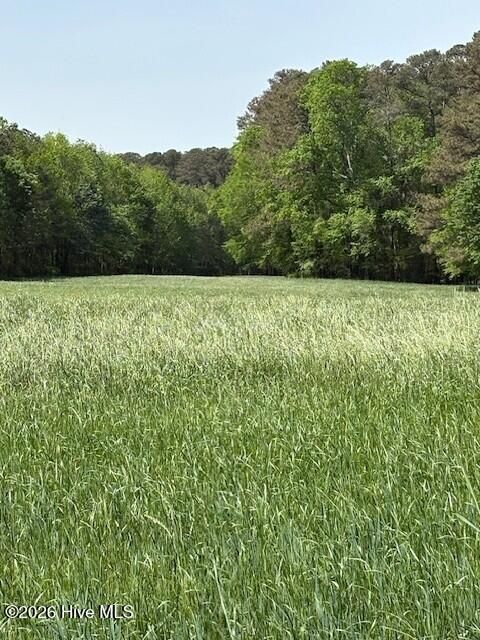 Vacant Land For Sale - 000 Leon Road<br/> Nashville, NC 27856