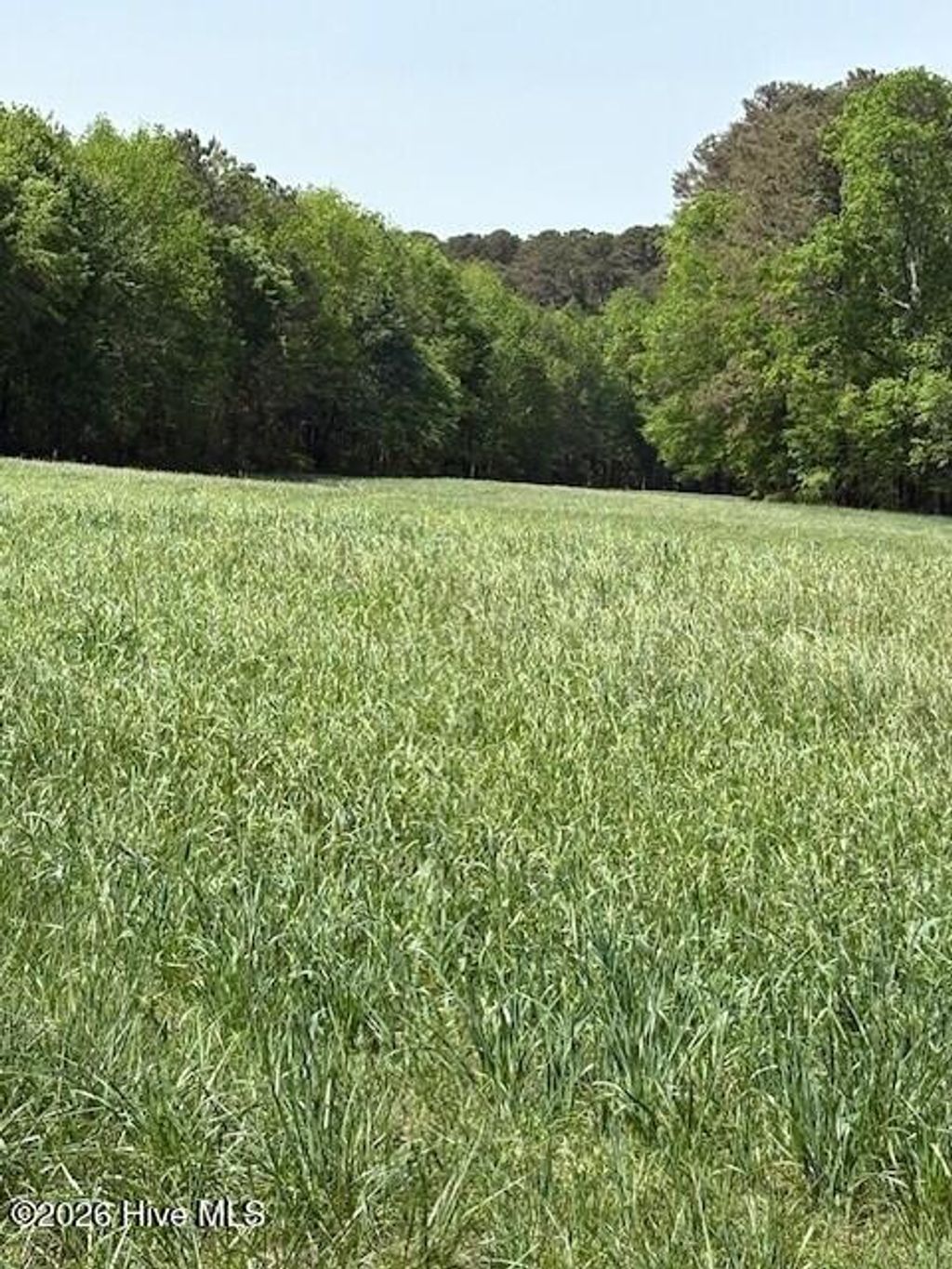 Photo of 000 Leon Road, Nashville, NC 27856 (MLS # 100566300)