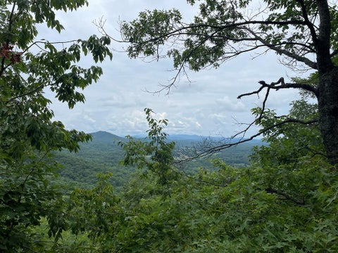 Vacant Land For Sale - 12 13A Brasstown Heights Lane<br/> Brasstown, NC 28902