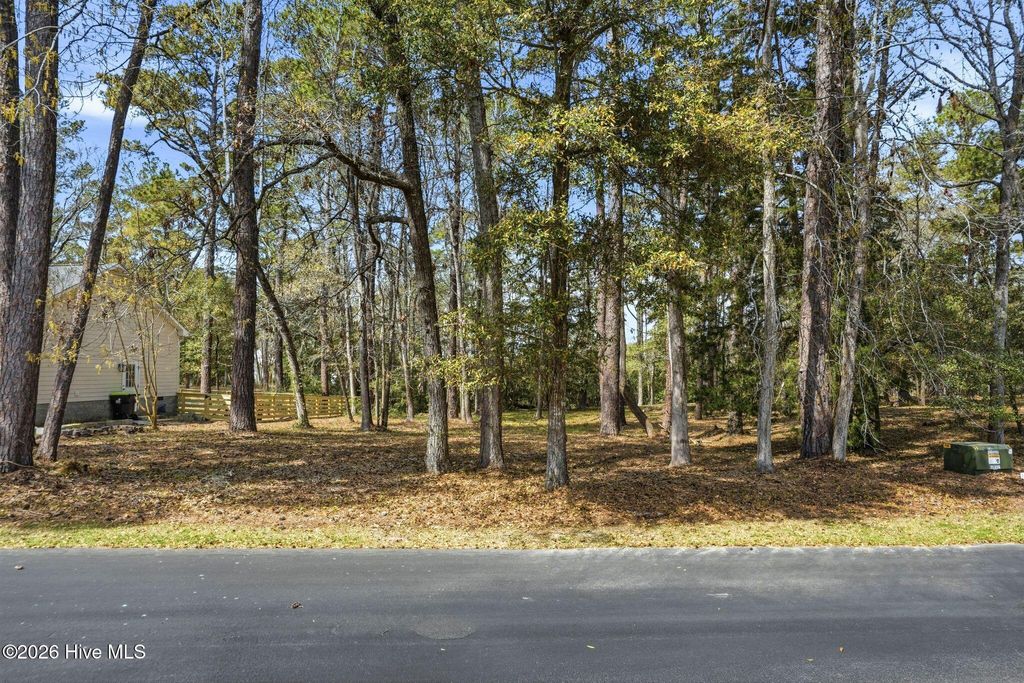 Photo of 3175 Channel Drive SE, Bolivia, NC 28422 (MLS # 100563683)