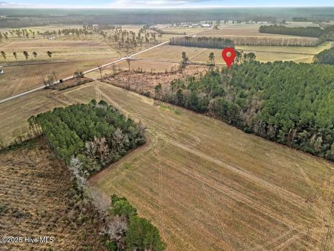Tiny photo for 1 Piney Woods Road, Burgaw, NC 28425 (MLS # 100544450)