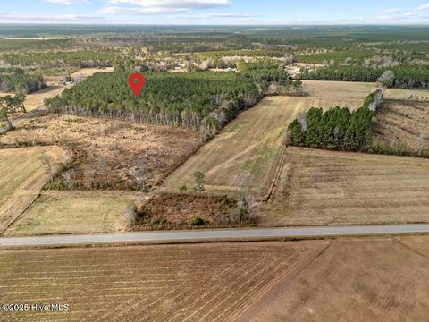 Tiny photo for 1 Piney Woods Road, Burgaw, NC 28425 (MLS # 100544450)