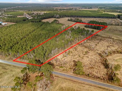 Tiny photo for 1 Piney Woods Road, Burgaw, NC 28425 (MLS # 100544450)