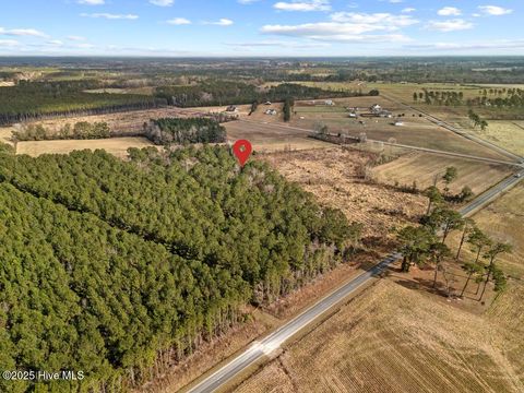 Tiny photo for 1 Piney Woods Road, Burgaw, NC 28425 (MLS # 100544450)