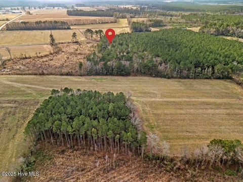 Tiny photo for 1 Piney Woods Road, Burgaw, NC 28425 (MLS # 100544450)