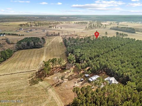 Tiny photo for 1 Piney Woods Road, Burgaw, NC 28425 (MLS # 100544450)