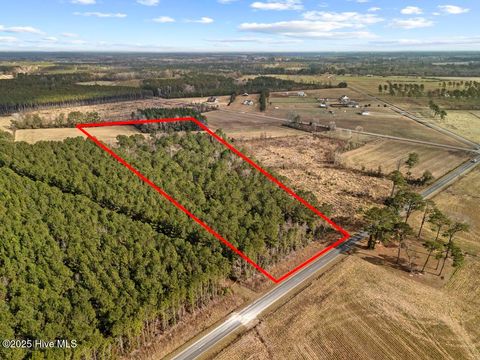 Photo of 1 Piney Woods Road, Burgaw, NC 28425 (MLS # 100544450)