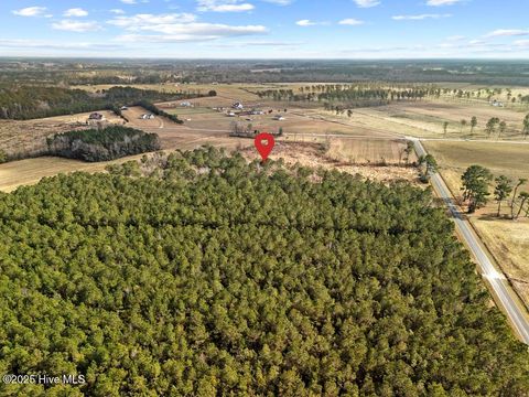 Tiny photo for 1 Piney Woods Road, Burgaw, NC 28425 (MLS # 100544450)